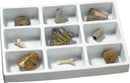 Geosafari Fossils Collection pk9