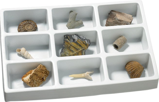 Geosafari Fossils Collection pk9