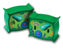 Plant Cell Foam Cross-Section
