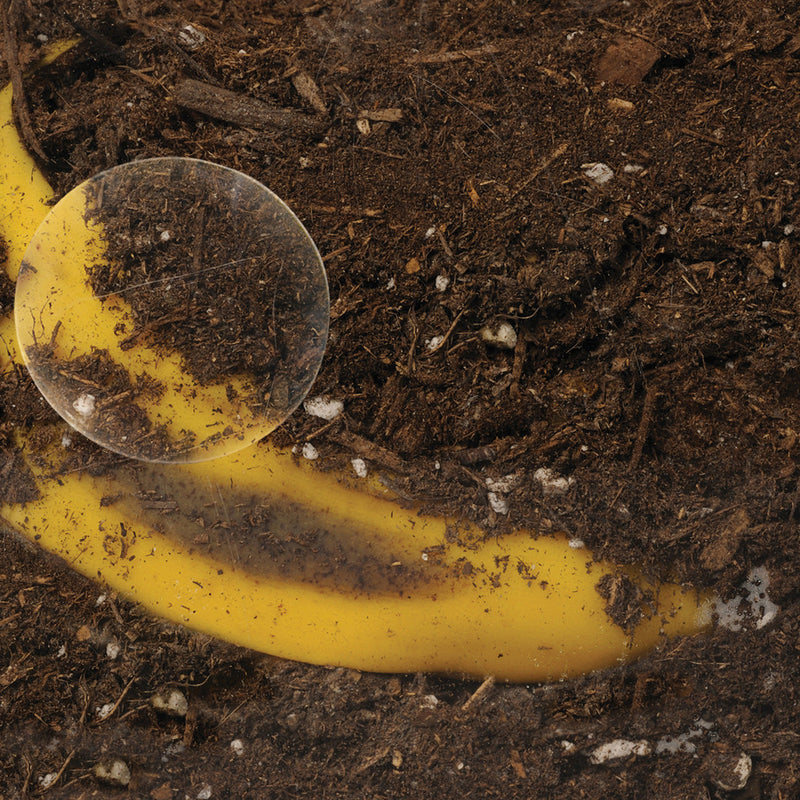 Now You See It, Now You Don’t See-Through Compost Container