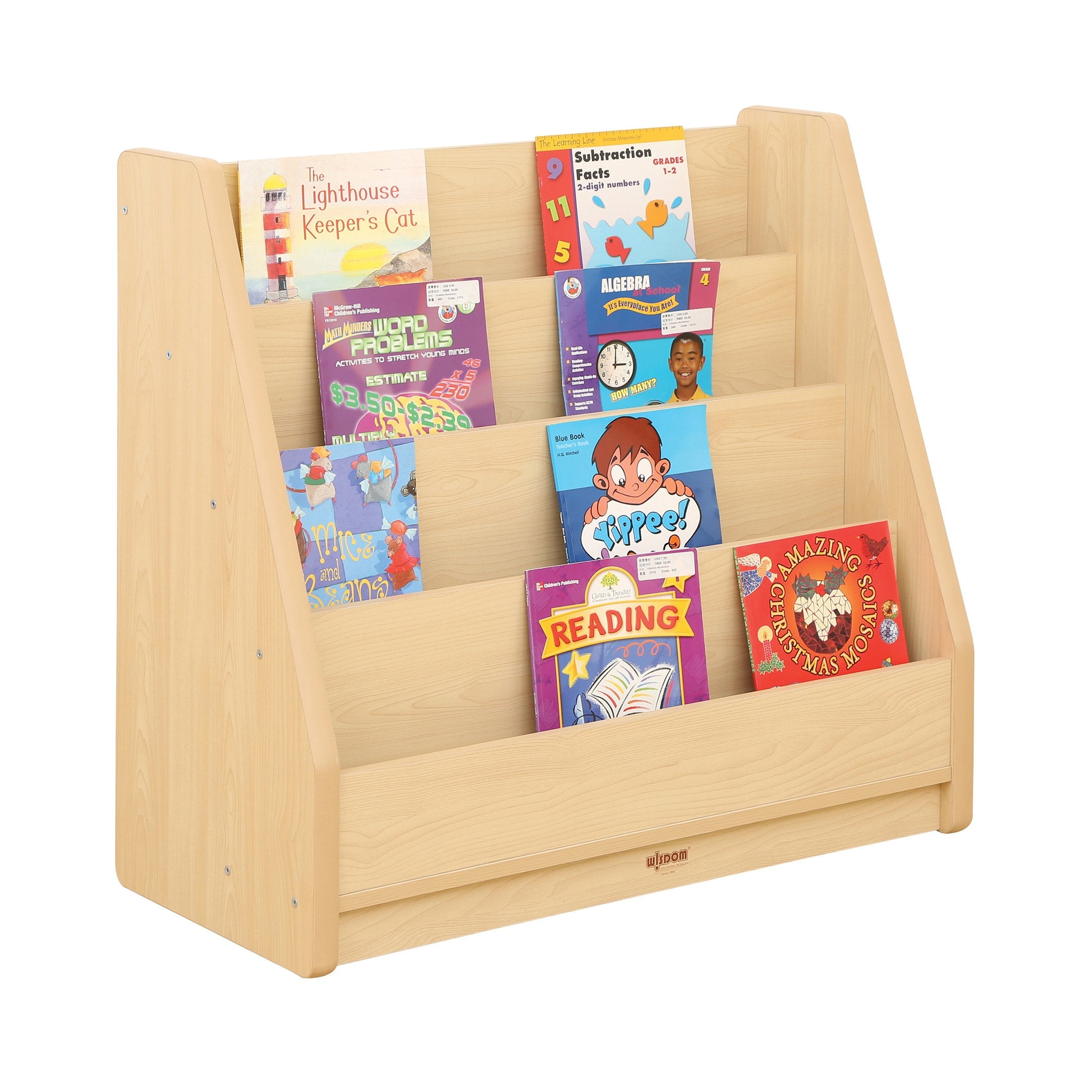 Elegant Basic Book Storage
