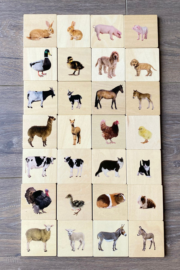 Domestic Animal Family Match