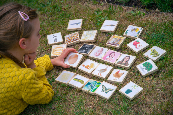 Wooden Lifecycle Tiles