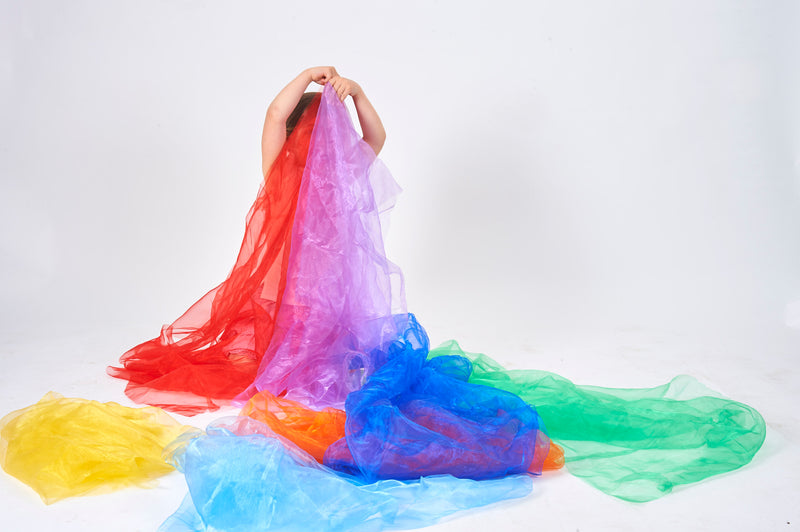 Rainbow Organza Fabric