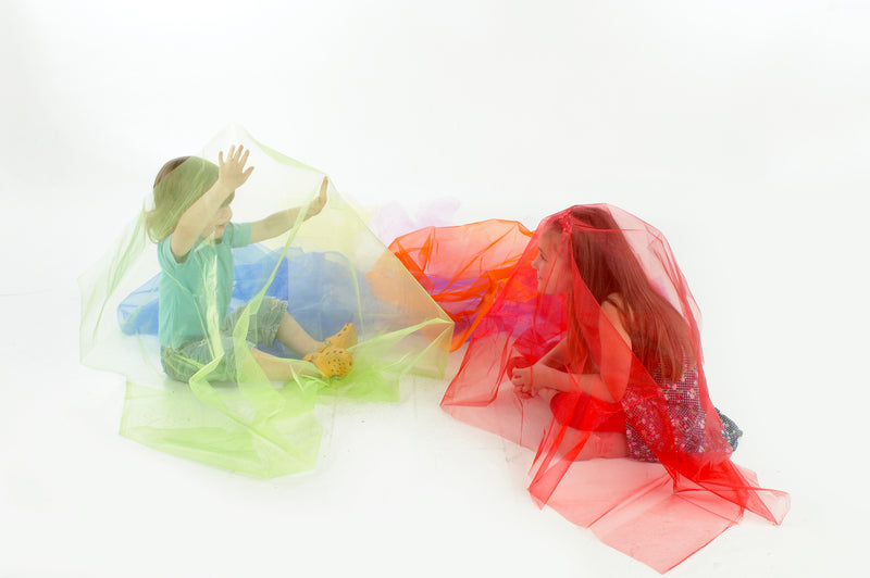 Rainbow Organza Fabric