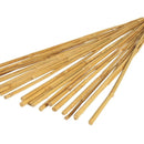 Bamboo-Canes-pk-20