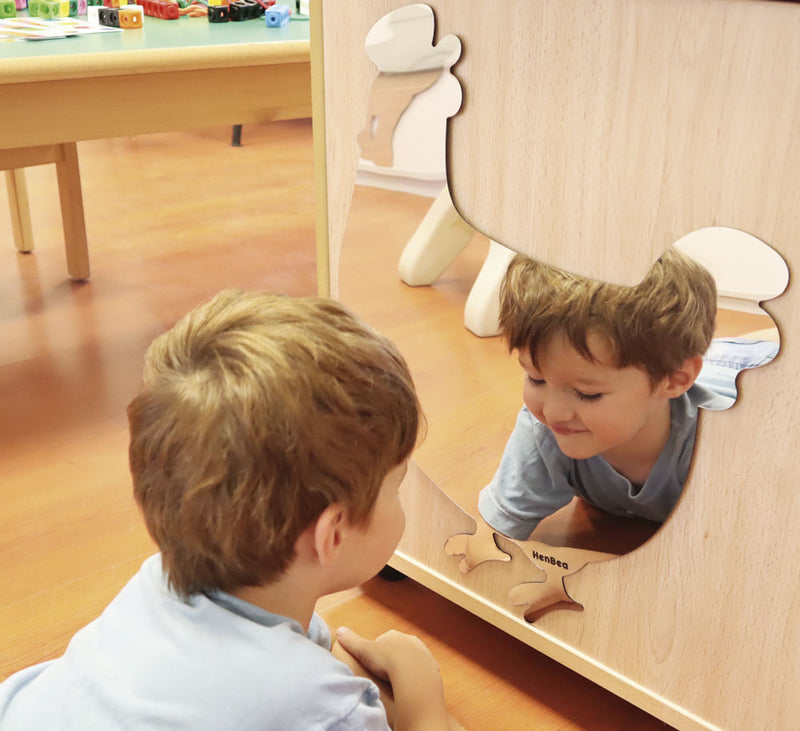 Animal Mirrors pk 4