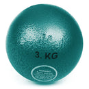 Cast Iron Shot 3.00kg