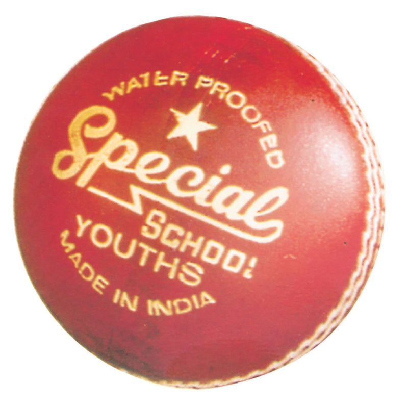 Readers Special School Cricket Ball 