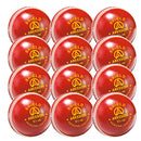 Aresson Shield Cricket Ball 5.50Oz, Bag of 12