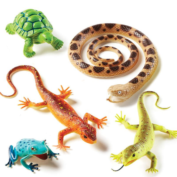 Jumbo Reptiles ,Amphibians