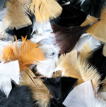 COLLAGE, FEATHERS, Natural, Pack of 50g