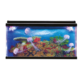 JELLY FISH TANK, Each