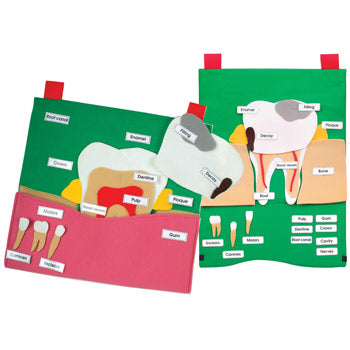 BIG TOOTH FABRIC DISPLAY, Set