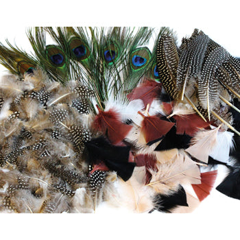 COLLAGE, FEATHERS, Class Packs, Naturals, Class Pack