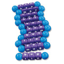 TWIST & TURN WORD BUILDER, Age 3+, Set of 10