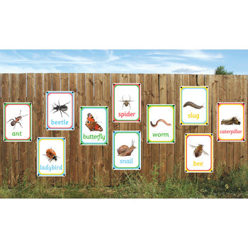 OUTDOOR PHOTO BOARDS, Creepy Crawlies, A4 (210 x 297mm), Set of 10