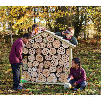 BUG HOUSE, Each