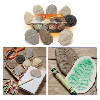 PLAY & EXPLORE FOSSILS, Set of 8