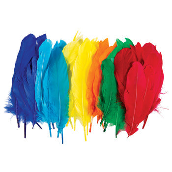 COLLAGE, FEATHERS, Large, Pack of 25