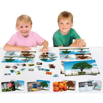 SEASONS GAME, Age 5+, Each