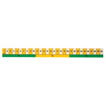 RULER, PLASTIC, Early Learning, 30cm, Each