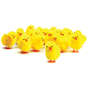 EASTER CHICKS, Pack of 36