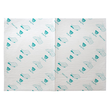 ABSORBING FLOOR CLOTH, Pack of 10