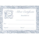 CERTIFICATE CARD, A5 Foil Certificates, Silver, Pack of 20