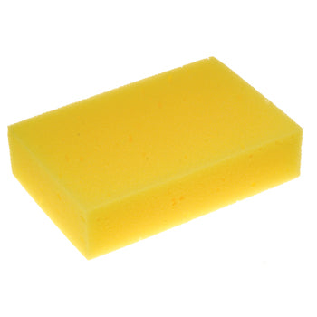 SPONGE, Pack of 12