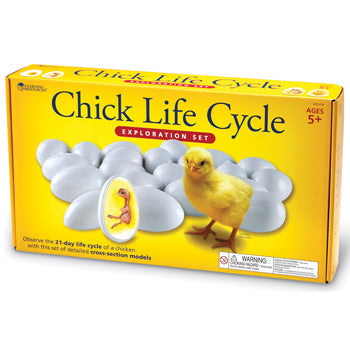 CHICK LIFE CYCLE EXPLORATION SET, Set