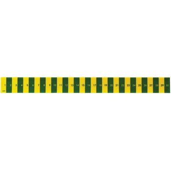 RULERS, PLASTIC, Infants', 30cm, Pack of 50