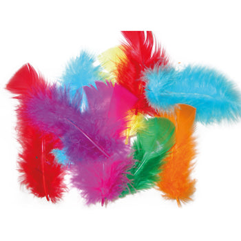 COLLAGE, FEATHERS, Brights, Pack of 50g