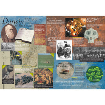 POSTERS, Darwin and The Origin of Species, Each