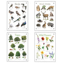 OUTDOOR PHOTO BOARDS, British Nature, A3 (297 x 420mm), Set of 4