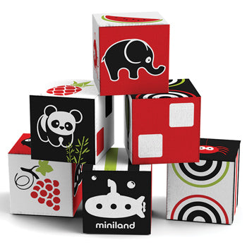 FIRST SENSES CUBES, Set