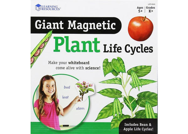 Magnetic Plant Life Cycle